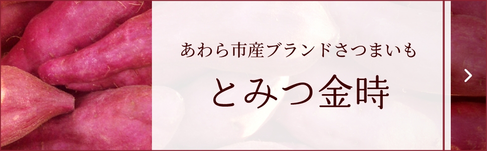 あわら市産ブランドさつまいも とみつ金時